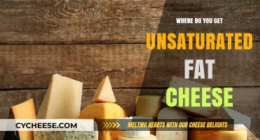 Healthy Cheese: Where to Get Your Unsat Fat Fix