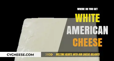 American White Cheese: Where to Find It