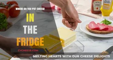 Cheese Storage: The Best Spot in Your Fridge