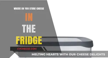 Best Cheese Storage Tips: Where to Keep Cheese in Your Fridge