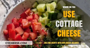 Creative Ways to Use Cottage Cheese in Your Daily Meals