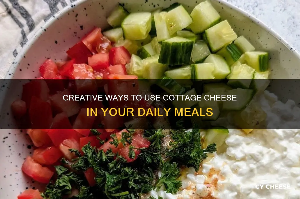 where do you use cottage cheese