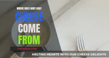 Goat Cheese Origins: Baby Goat Cheese Explained