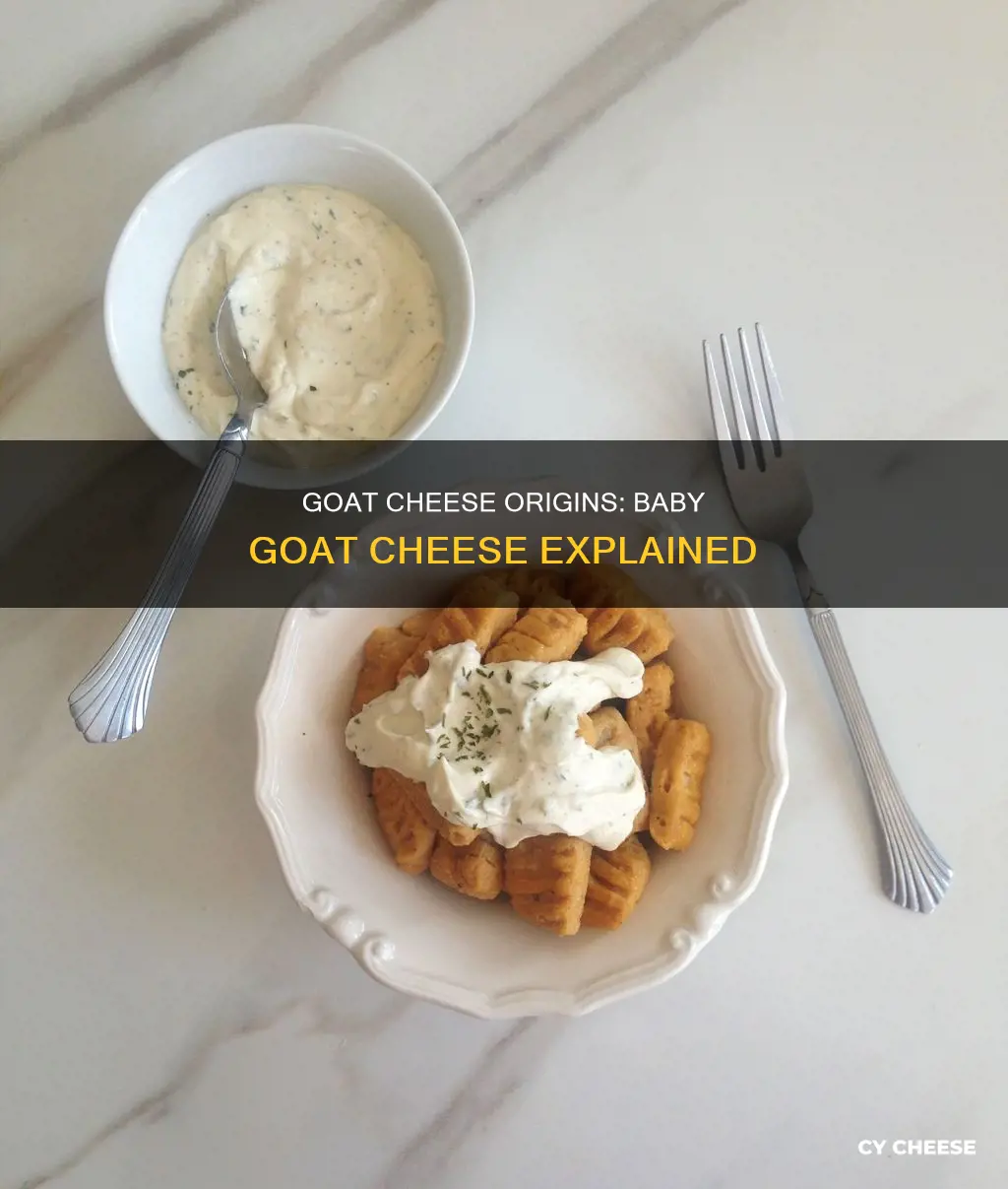 where does baby goat cheese come from