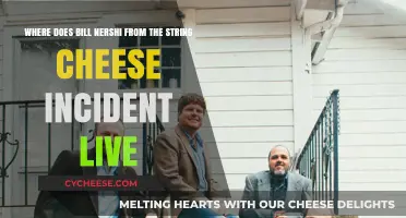 Where Does Bill Nershi of The String Cheese Incident Live?