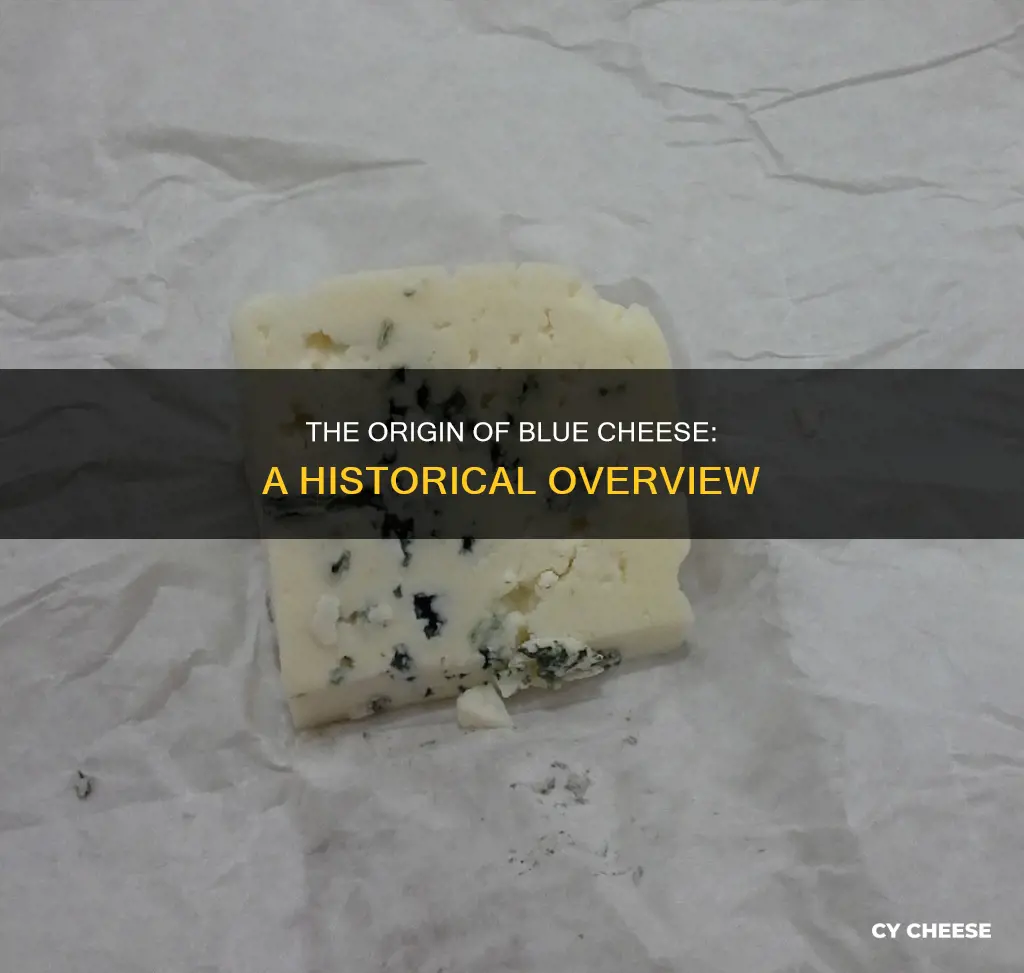 where does blue cheese comefrom