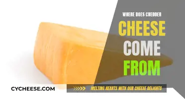 Unveiling Cheddar's Origin: A Journey to the Dairy Farm