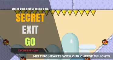 Cheese Bridge Area Secret Exit: Unveiling the Hidden Path