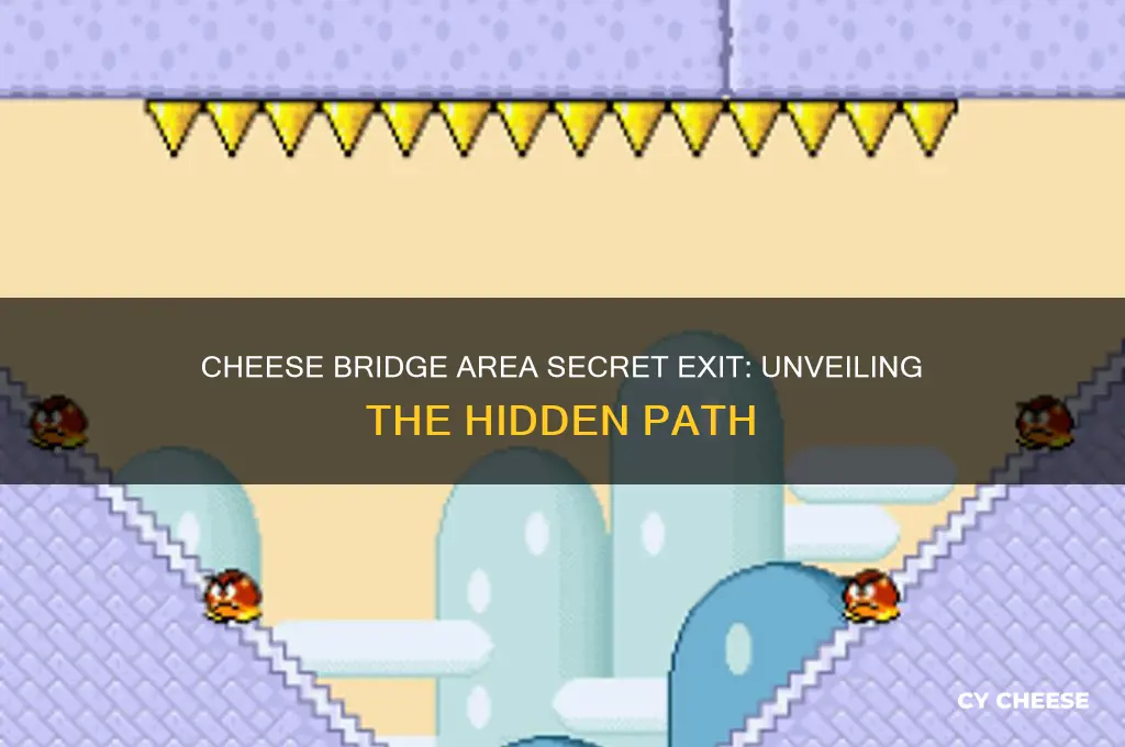where does cheese bridge area secret exit go