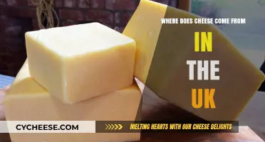 Exploring the Origins of UK Cheese: A Journey Through British Dairy