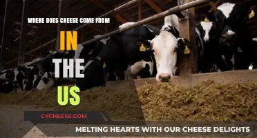 Exploring America's Dairy Farms: The Origins of US Cheese Production