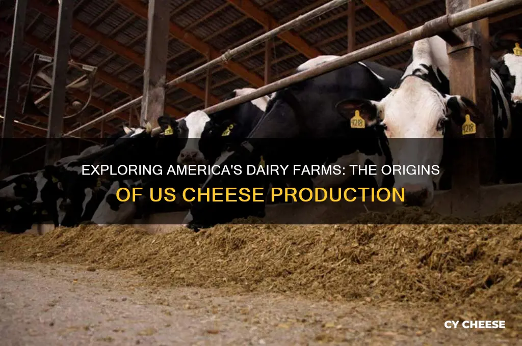 where does cheese come from in the us