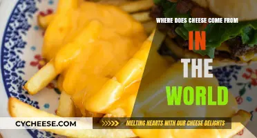 Exploring Global Cheese Origins: A Journey Through Dairy Traditions