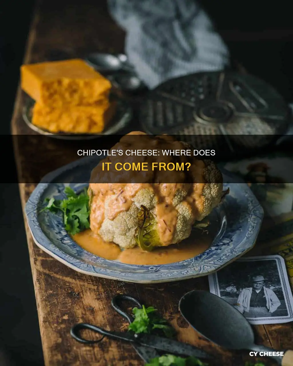 where does chipotle get its cheese