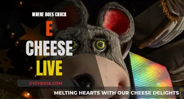 The Elusive Home of Chuck E. Cheese