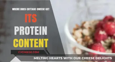 Cottage Cheese Protein Power: Uncovering Its Nutritional Source and Benefits