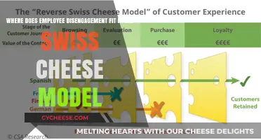 Employee Disengagement: Swiss Cheese Model's Holes