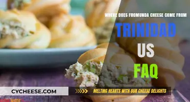 Fromunda Cheese Origins: Trinidad's Unique Delicacy Explained in FAQ