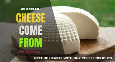 The Origins of Goat Cheese: A Delicious Journey