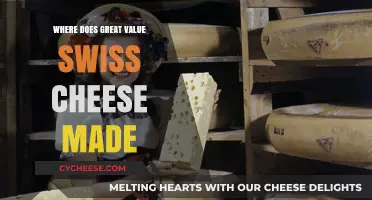 The Origin of Great Value Swiss Cheese