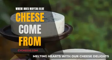 The Origin Story of Maytag Blue Cheese
