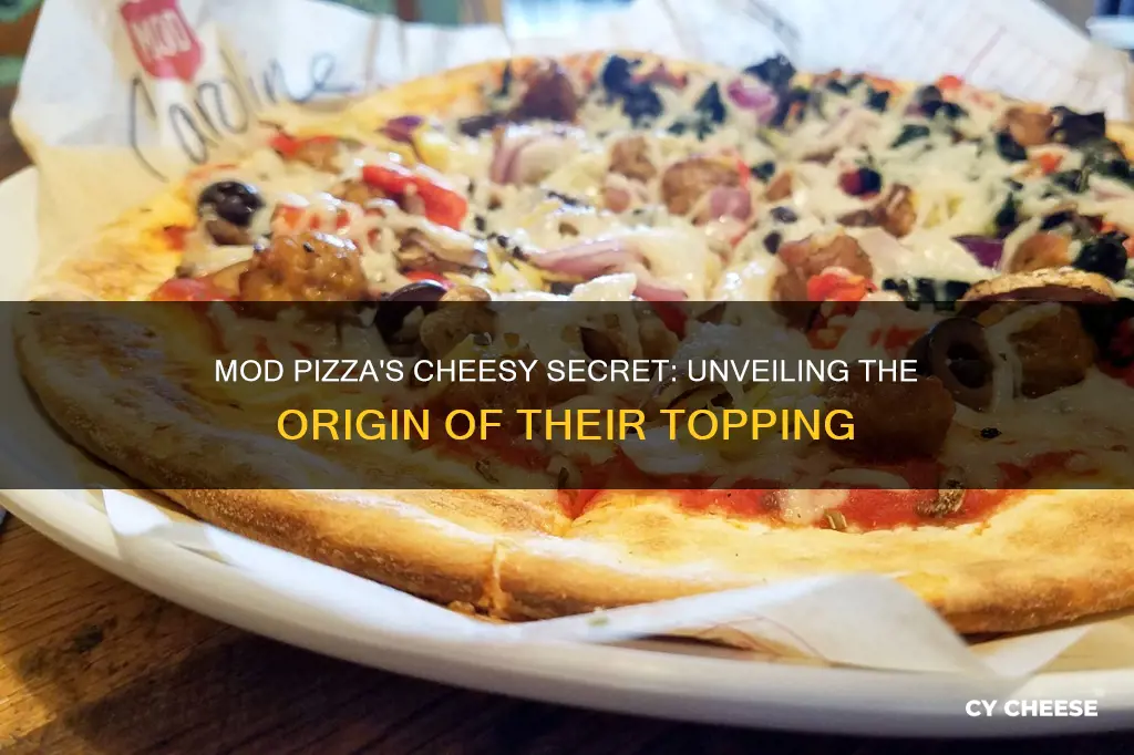 where does mod pizza