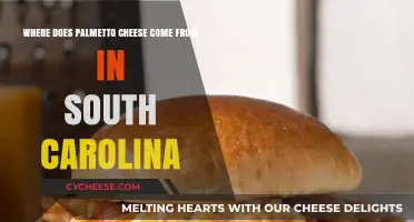 Discovering the South Carolina Roots of Palmetto Cheese