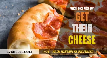 Pizza Hut's Cheese: The Source and Quality Revealed