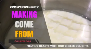 Exploring Rennet Sources: Animal, Vegetable, or Microbial Origins for Cheese