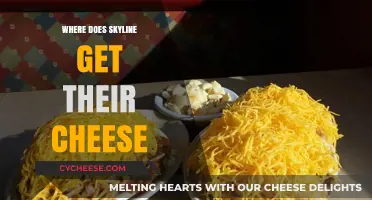 Skyline's Cheese: A Tasty Secret Unveiled