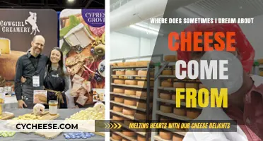 The Origin of 'Sometimes I Dream About Cheese': A Quirky Phrase Explained