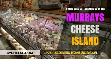 Sottocenere's Place in Murrays Cheese Island: A Tasty Journey