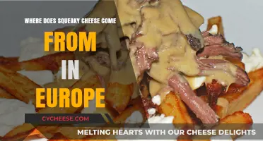 Exploring Europe's Squeaky Cheese Origins: A Tasty Journey