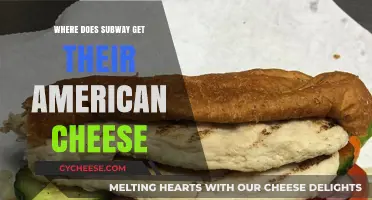 Subway's American Cheese: The Surprising Source