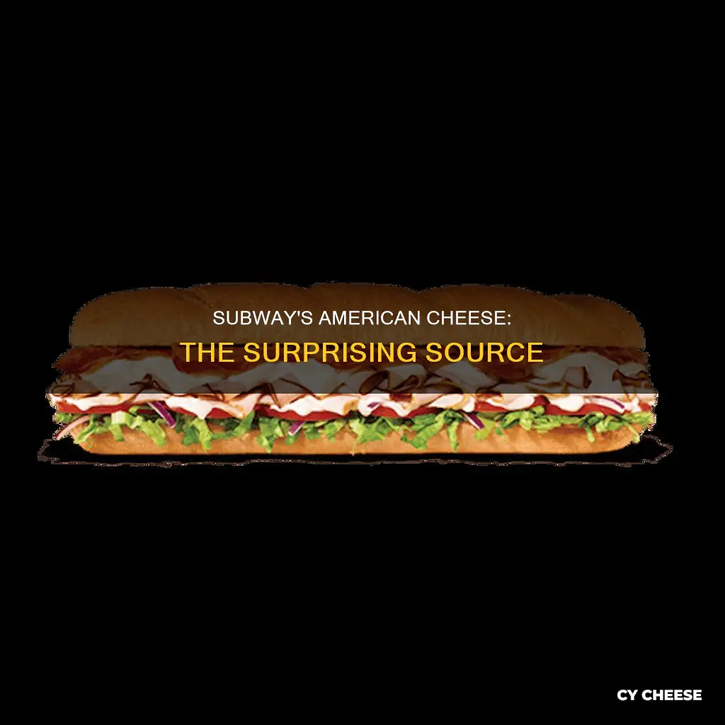 where does subway get their american cheese