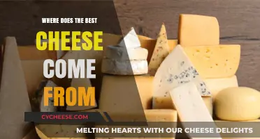 Cheese Connoisseurs: Where to Find the Finest Cheeses