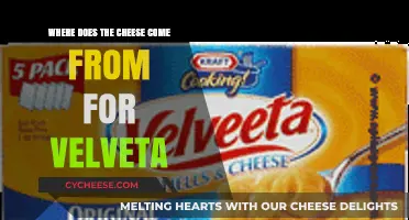 Unveiling Velveeta's Cheese Origins: A Journey from Source to Slice