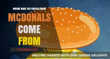 Unveiling the Origin of McDonald's Cheese: A Dairy Journey