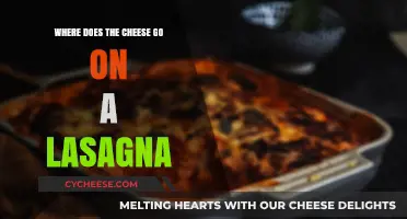 Perfect Lasagna Layers: Cheese Placement Tips for Ultimate Flavor Fusion