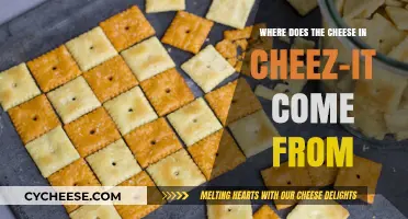 Unraveling the Mystery: The Surprising Origin of Cheez-It Cheese