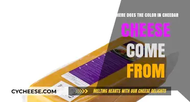 Unveiling the Natural Origins of Cheddar Cheese's Vibrant Color