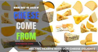 Unveiling the Secrets: What Gives Cheese Its Distinctive Color?
