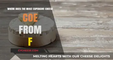 The World's Priciest Cheese: Unveiling Its Surprising Origin Story