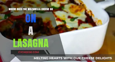 Mozzarella Placement in Lasagna: A Layer-by-Layer Guide to Perfection