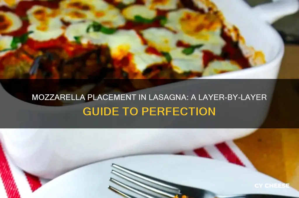 where does the mozarella cheese go on a lasagna