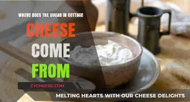 Unveiling the Natural Sugar Source in Cottage Cheese: A Detailed Look