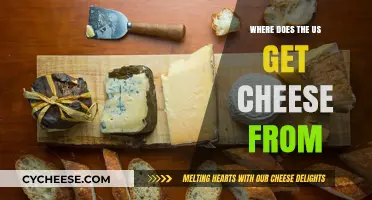 The US Cheese Supply: Where Does it Come From?