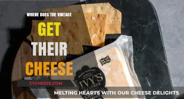 The Vintage Cheese: A Tasty Origin Story