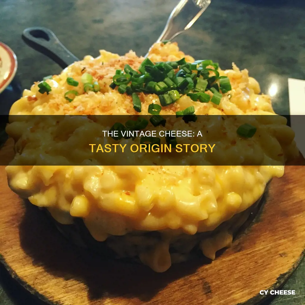 where does the vintage get their cheese