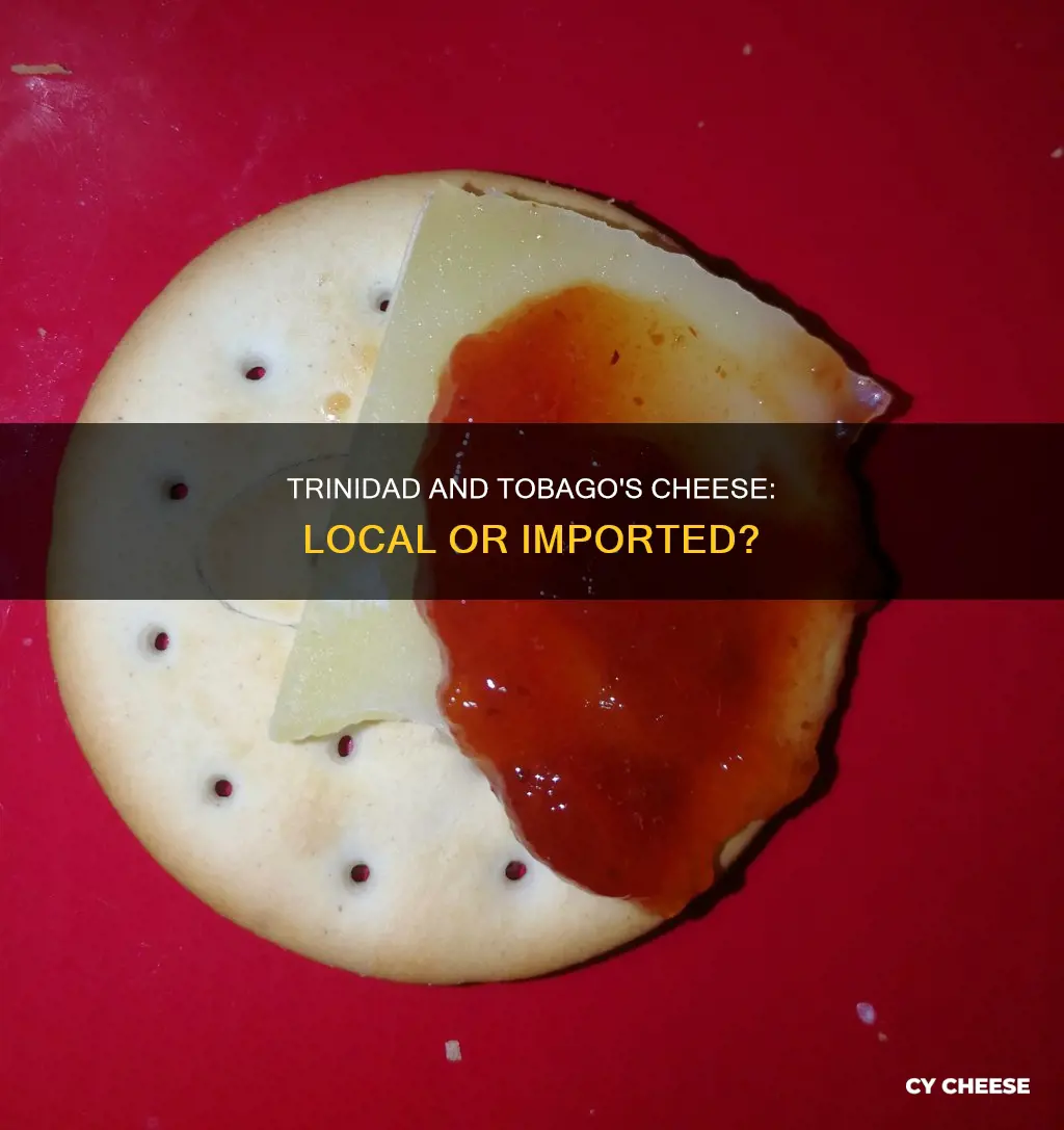 where does trinidad and tobago get their cheese from